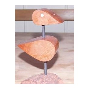 Fuglene er fl�jet, flere tr�kker fra Middelhavet