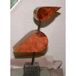 Fuglene er fl�jet, flere tr�kker fra Middelhavet