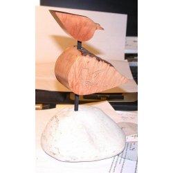 Endnu en Briarfugl er fl&oslash;jet