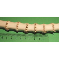 Bambus Diameter 09-13 mm�, L�ngde: ca. 32 cm