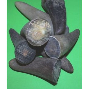 HORN o.l. animalske materialer